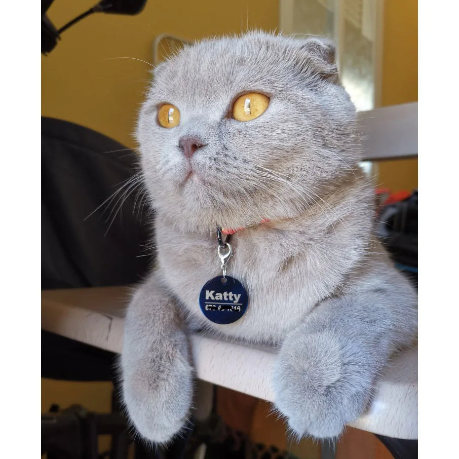 Custom Dog Cat ID Tag Engraved Personalized - MyPetDollar.com