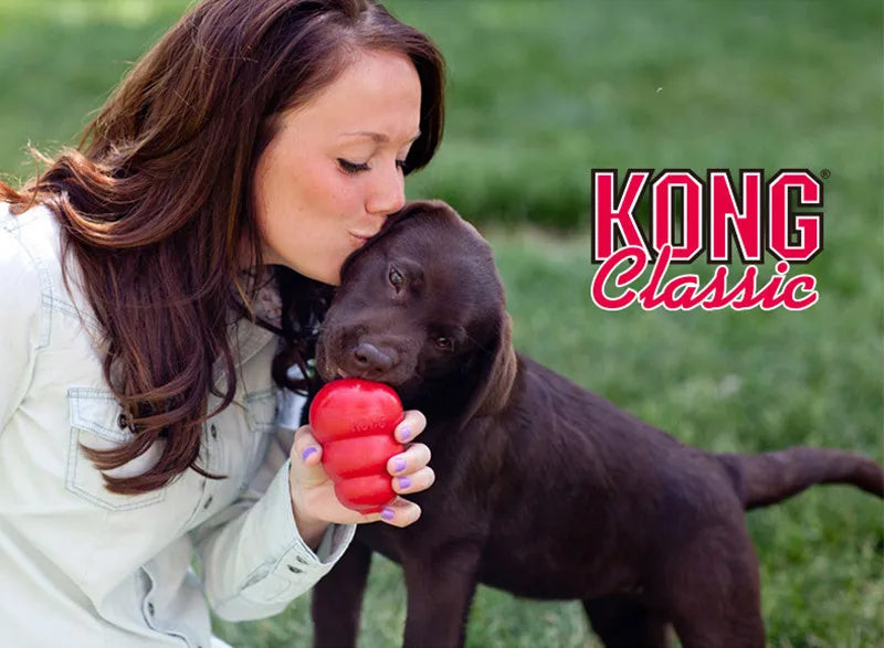 KONG Classic Natural Teething Rubber Dog - MyPetDollar.com