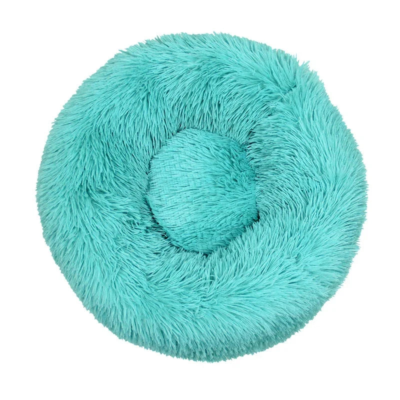 Donut Mand Dog Accessories for Large Dogs - MyPetDollar.com
