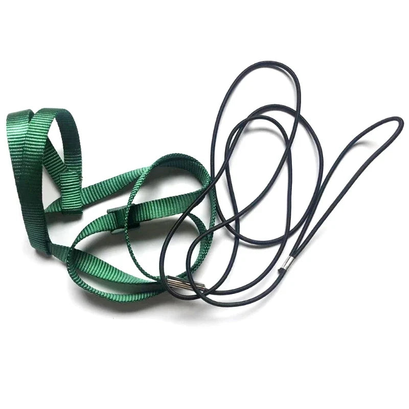 Parrot Bird Harness Leash Outdoor Flying - MyPetDollar.com