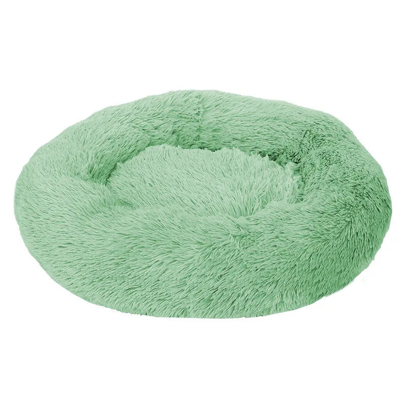 Donut Mand Dog Accessories for Large Dogs - MyPetDollar.com