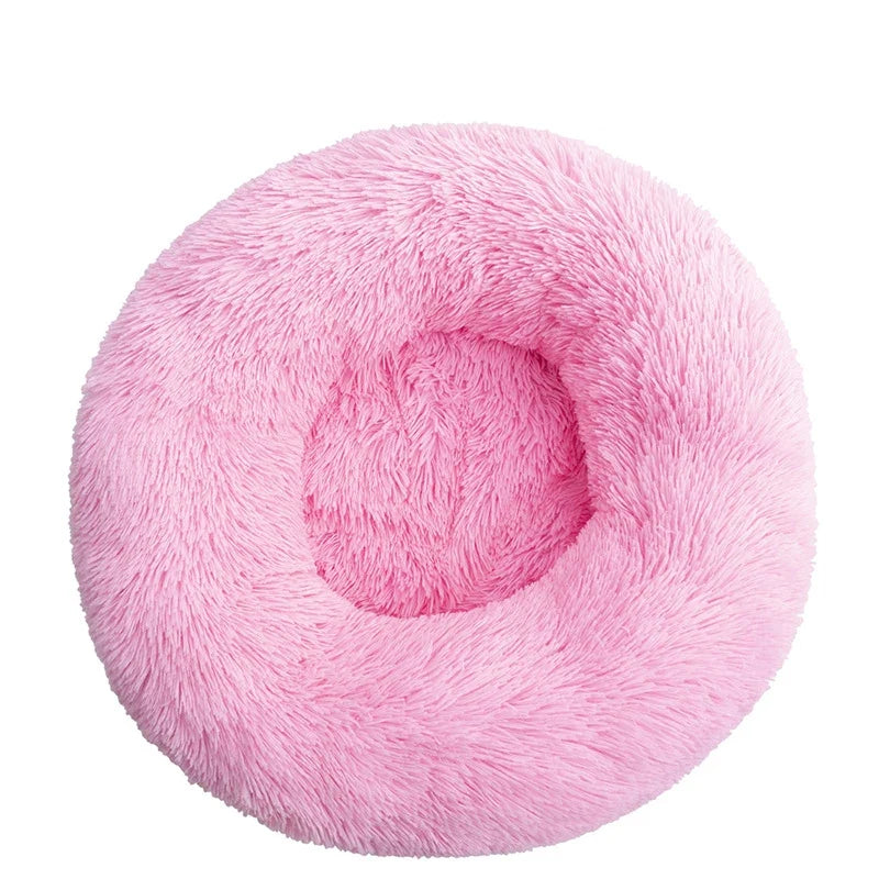 Donut Mand Dog Accessories for Large Dogs - MyPetDollar.com