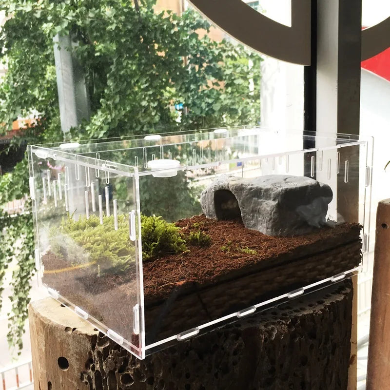 Acrylic Reptile Container Magnetic Acrylic - MyPetDollar.com