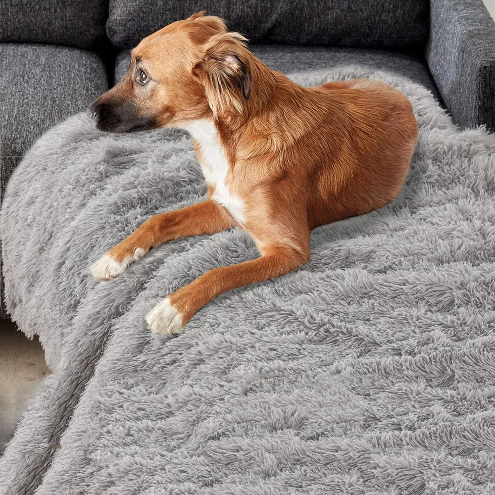 Plush Dog Blanket Winter Warm Pet Sheet Cat - MyPetDollar.com