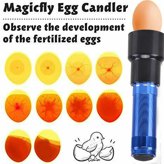Incubator Eggtester Cool Light Candling Lamp - MyPetDollar.com