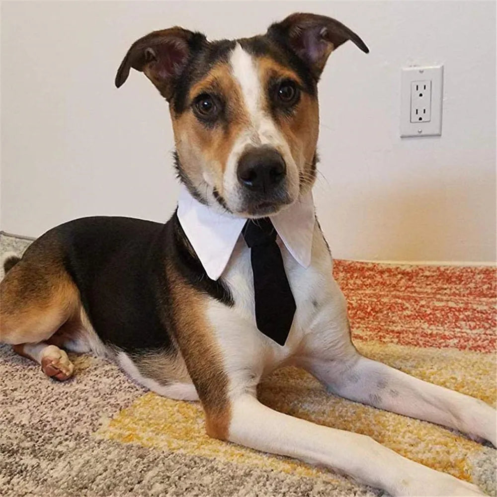 1PC Pet Dog Cat Formal Tie Adjustable - MyPetDollar.com