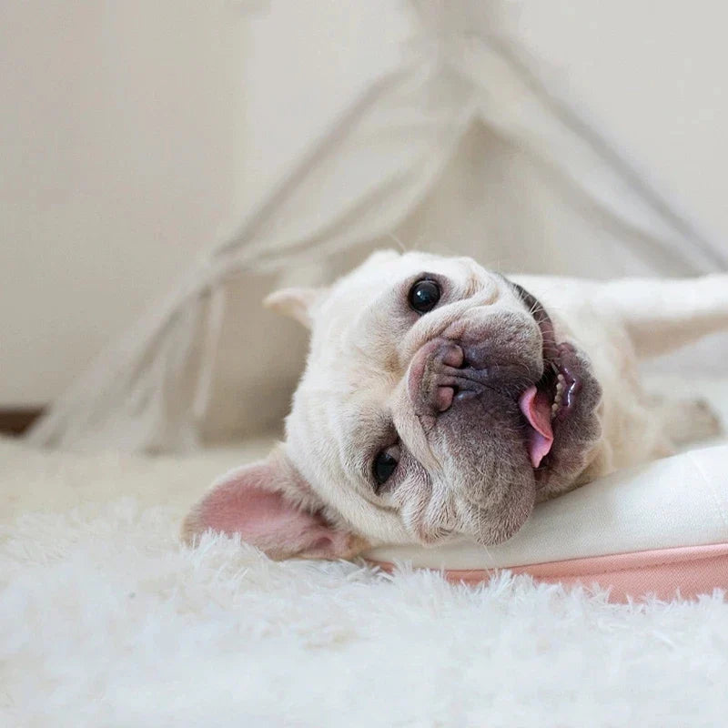 Fluffy Long Plush Pets Bed Blankets Pet - MyPetDollar.com