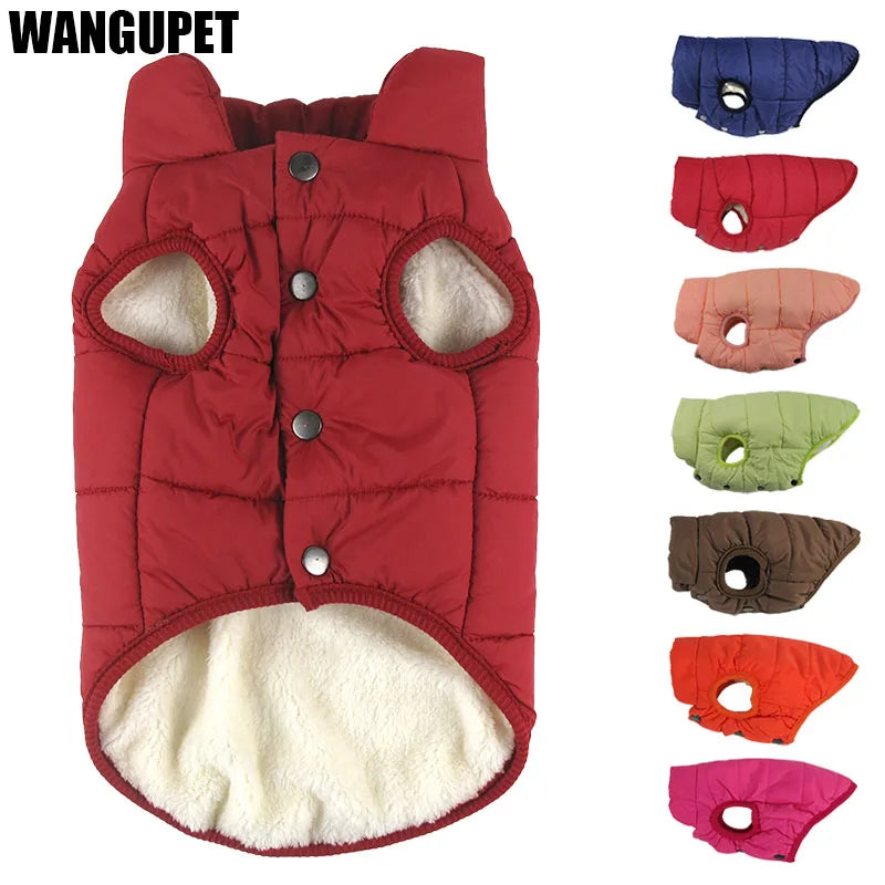 Winter Pet Coat Clothes for Dogs Winter - MyPetDollar.com