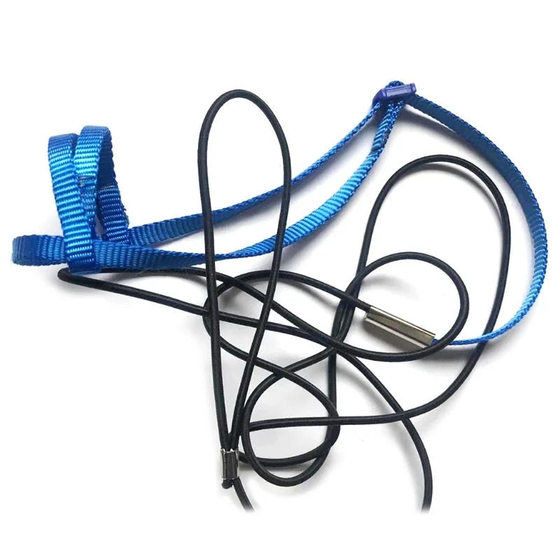 Parrot Bird Harness Leash Outdoor Flying - MyPetDollar.com