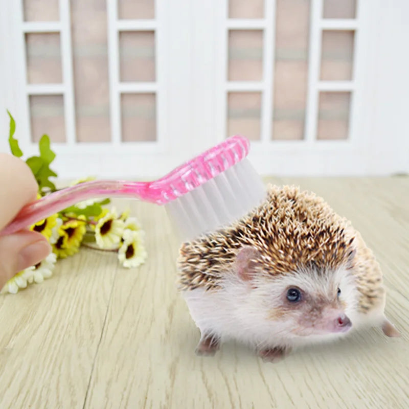 [MPK Store] African Hedgehog Cleaning Brush, - MyPetDollar.com