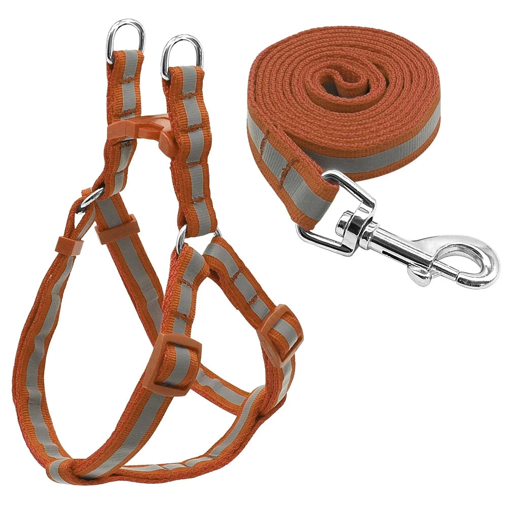 Reflective Nylon Dog Harness and Leash Set - MyPetDollar.com