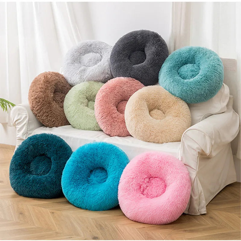 Donut Mand Dog Accessories for Large Dogs - MyPetDollar.com