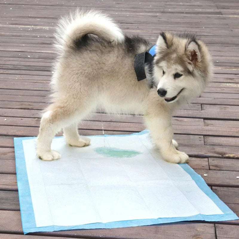 Winter Super Absorbent Pet Diaper Dog - MyPetDollar.com