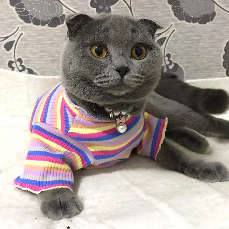 Colorful Stripe Sphynx Cat Vest Shirt for - MyPetDollar.com