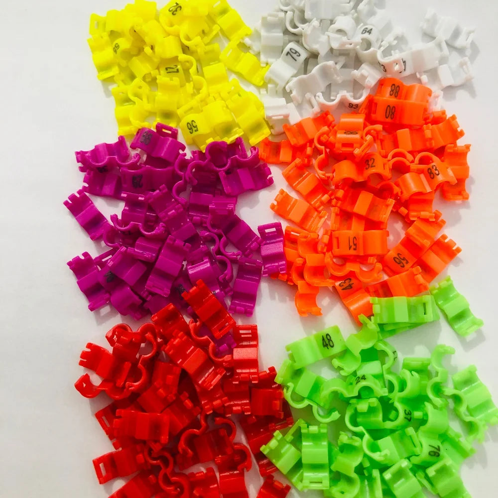 60 Pcs Inner 2.7/ 3/4/4.5/5mm Canary Clip - MyPetDollar.com
