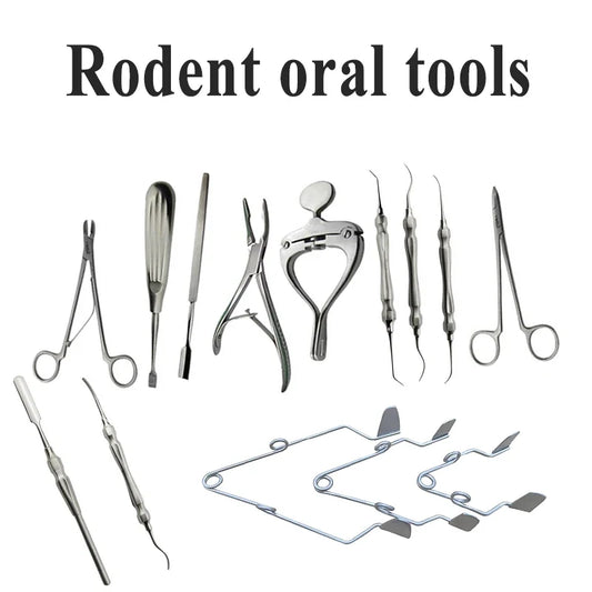 1PCS Lab Experiment Rodent Rat Rabbit Totoro - MyPetDollar.com