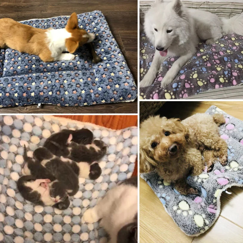 Pet Sleeping Mat Warm Dog Bed Soft Fleece - MyPetDollar.com