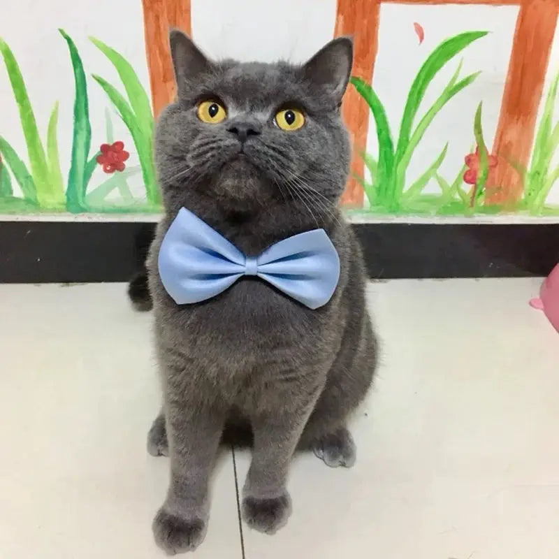 Dog Bow Tie Adjustable Dog Cat Necklace Neck - MyPetDollar.com