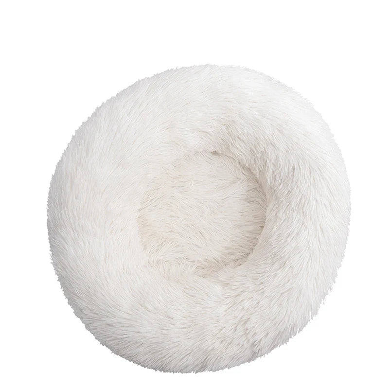 Donut Mand Dog Accessories for Large Dogs - MyPetDollar.com