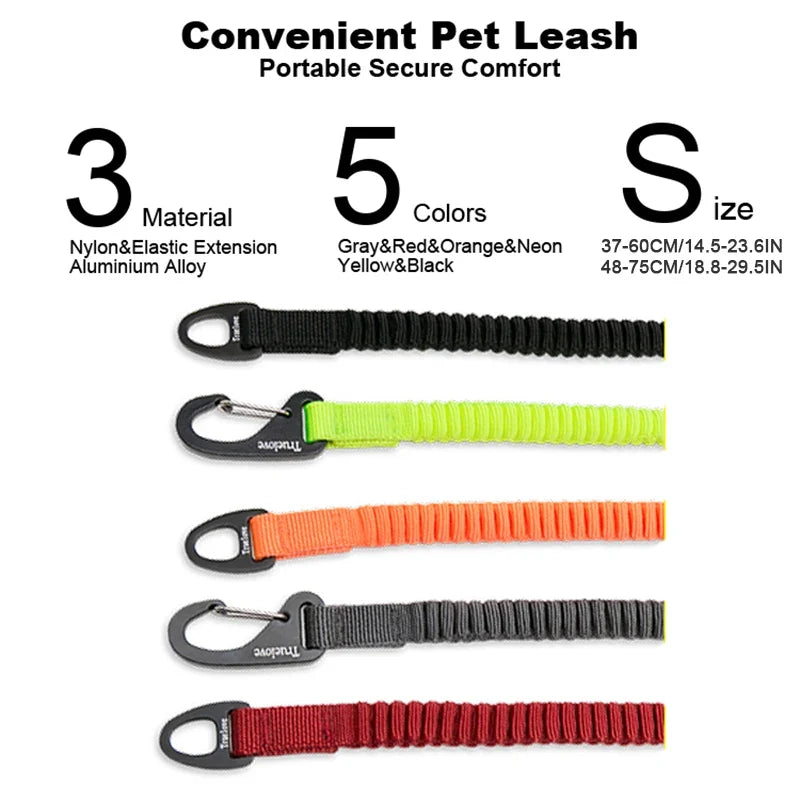 Truelove Short Bungee Dog Nylon Leash Rope - MyPetDollar.com