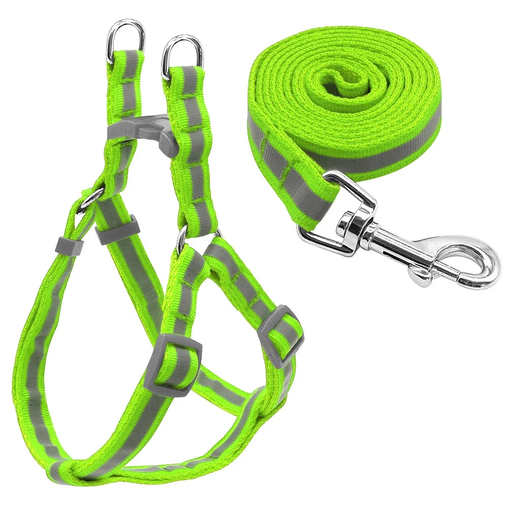 Reflective Nylon Dog Harness and Leash Set - MyPetDollar.com