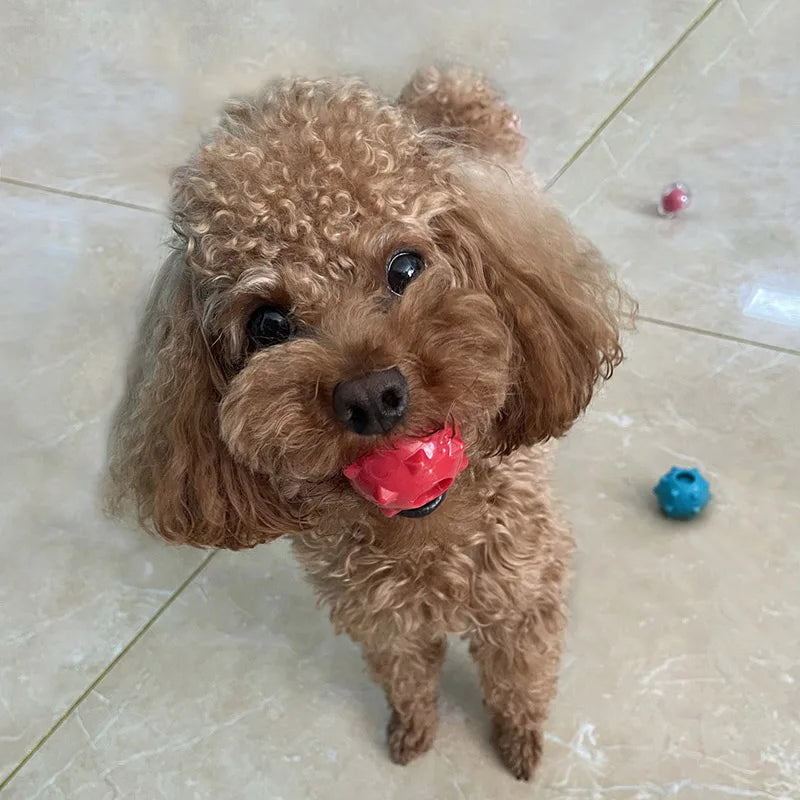 CAITEC Dog Toys Mini Squeaking Ball Soft - MyPetDollar.com