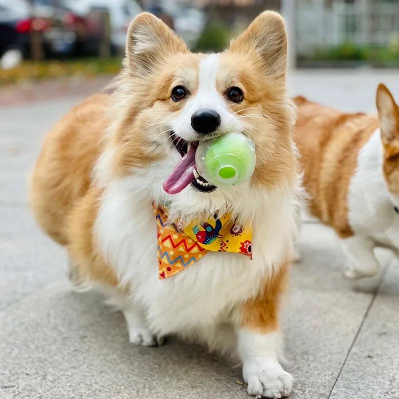 CAITEC Dog Toy Amazing Squeaker Ball Durable - MyPetDollar.com