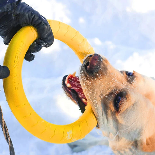 Interactive Training Pet Ring Puller Toys - MyPetDollar.com
