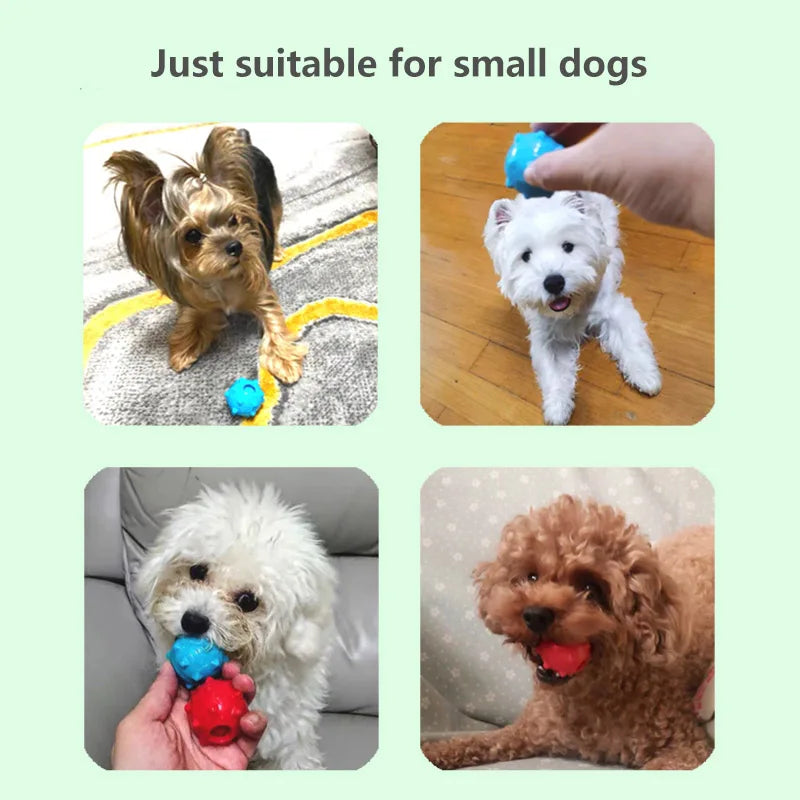CAITEC Dog Toys Mini Squeaking Ball Soft - MyPetDollar.com