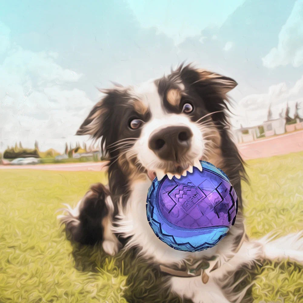 Pet Dog Squeaky Toys Ball Puppy Chew Toys - MyPetDollar.com
