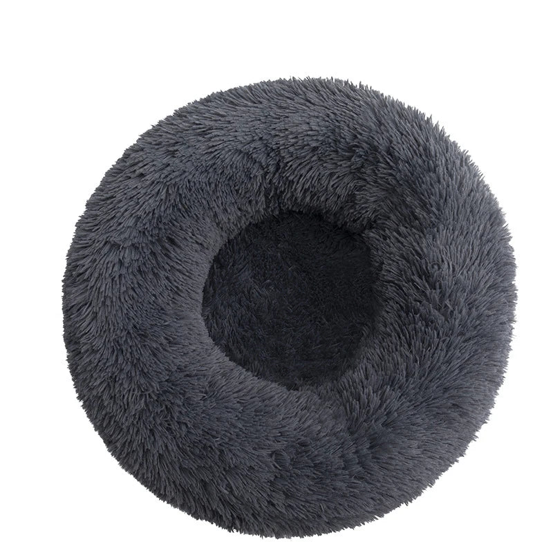 Donut Mand Dog Accessories for Large Dogs - MyPetDollar.com
