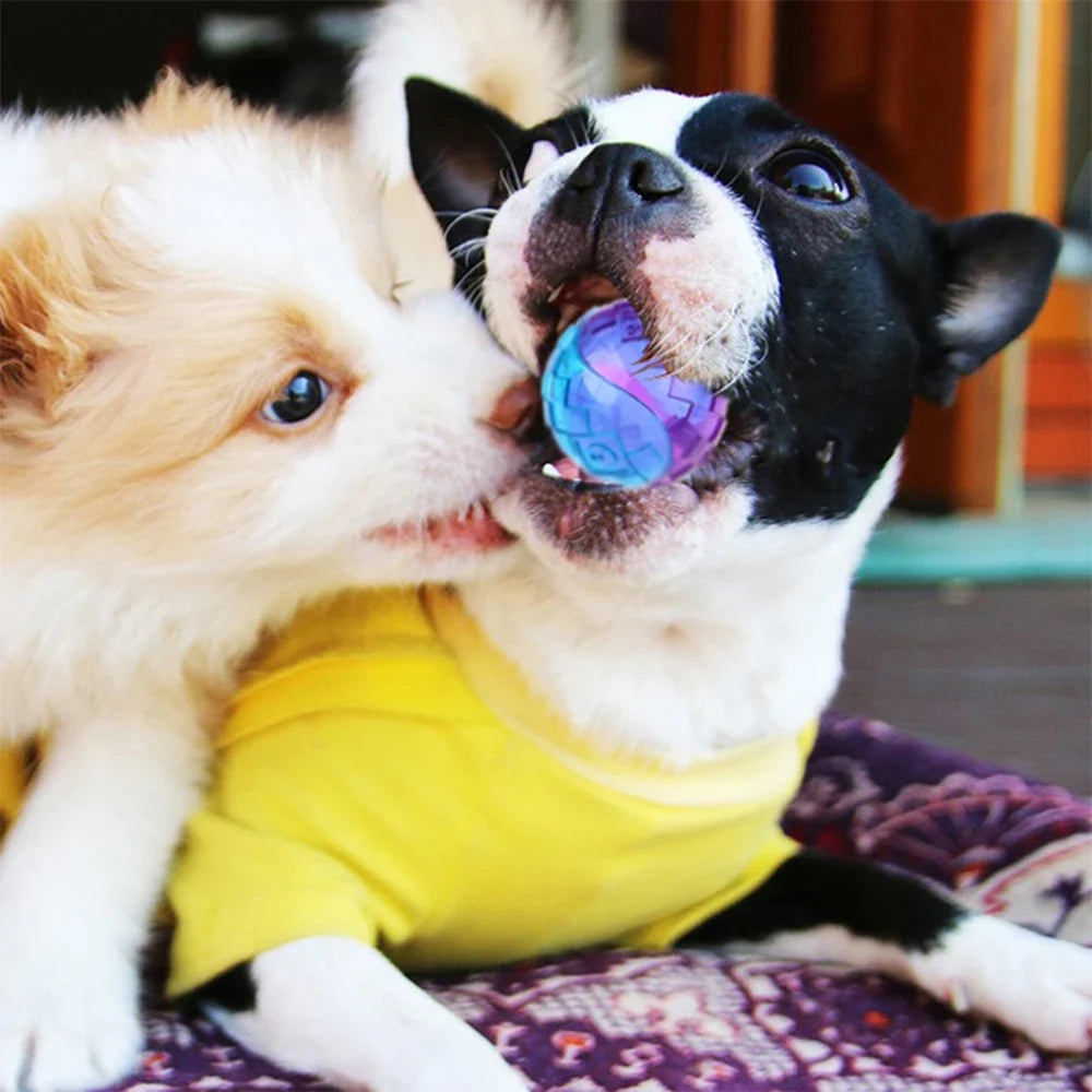 Pet Dog Squeaky Toys Ball Puppy Chew Toys - MyPetDollar.com