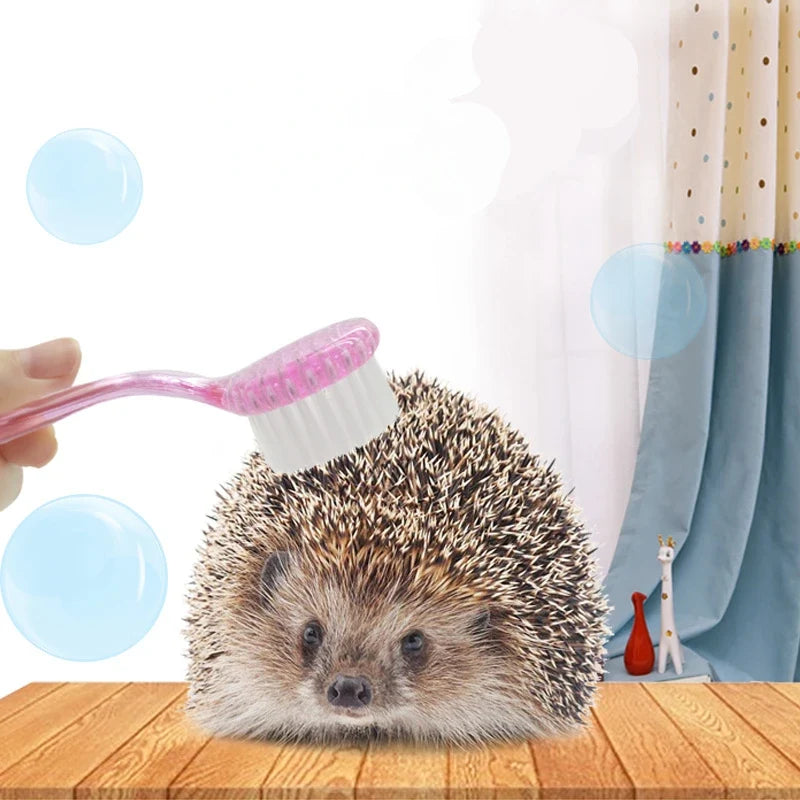 [MPK Store] African Hedgehog Cleaning Brush, - MyPetDollar.com