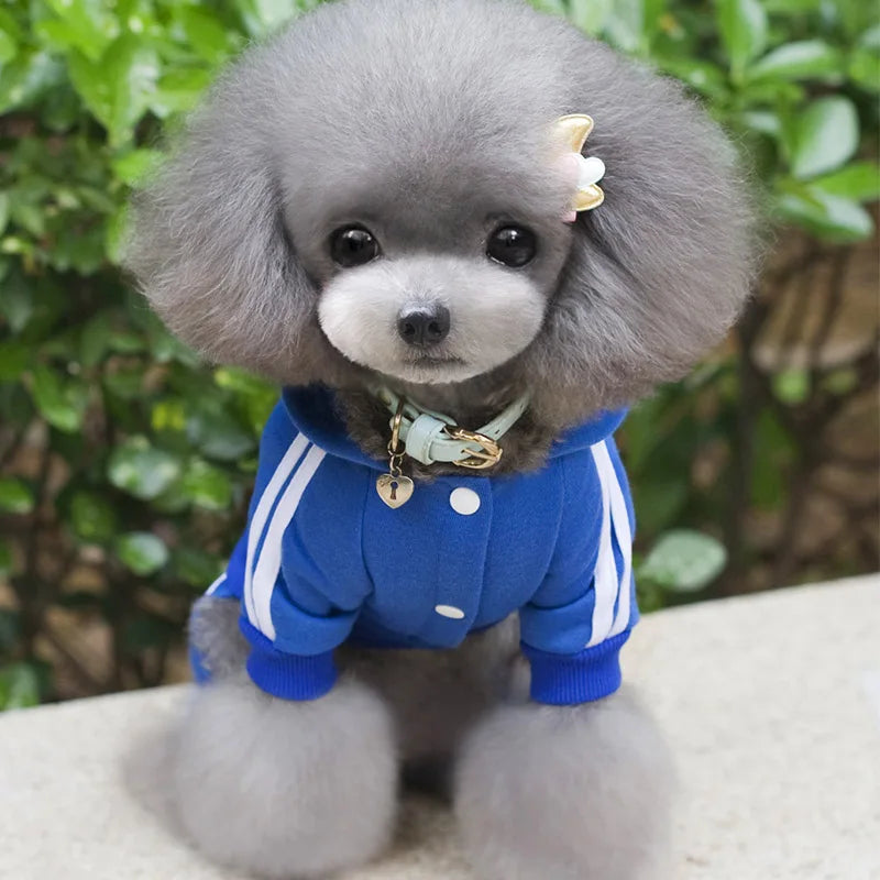 Adidog Dog Clothes Thick Overalls for Dogs, - MyPetDollar.com