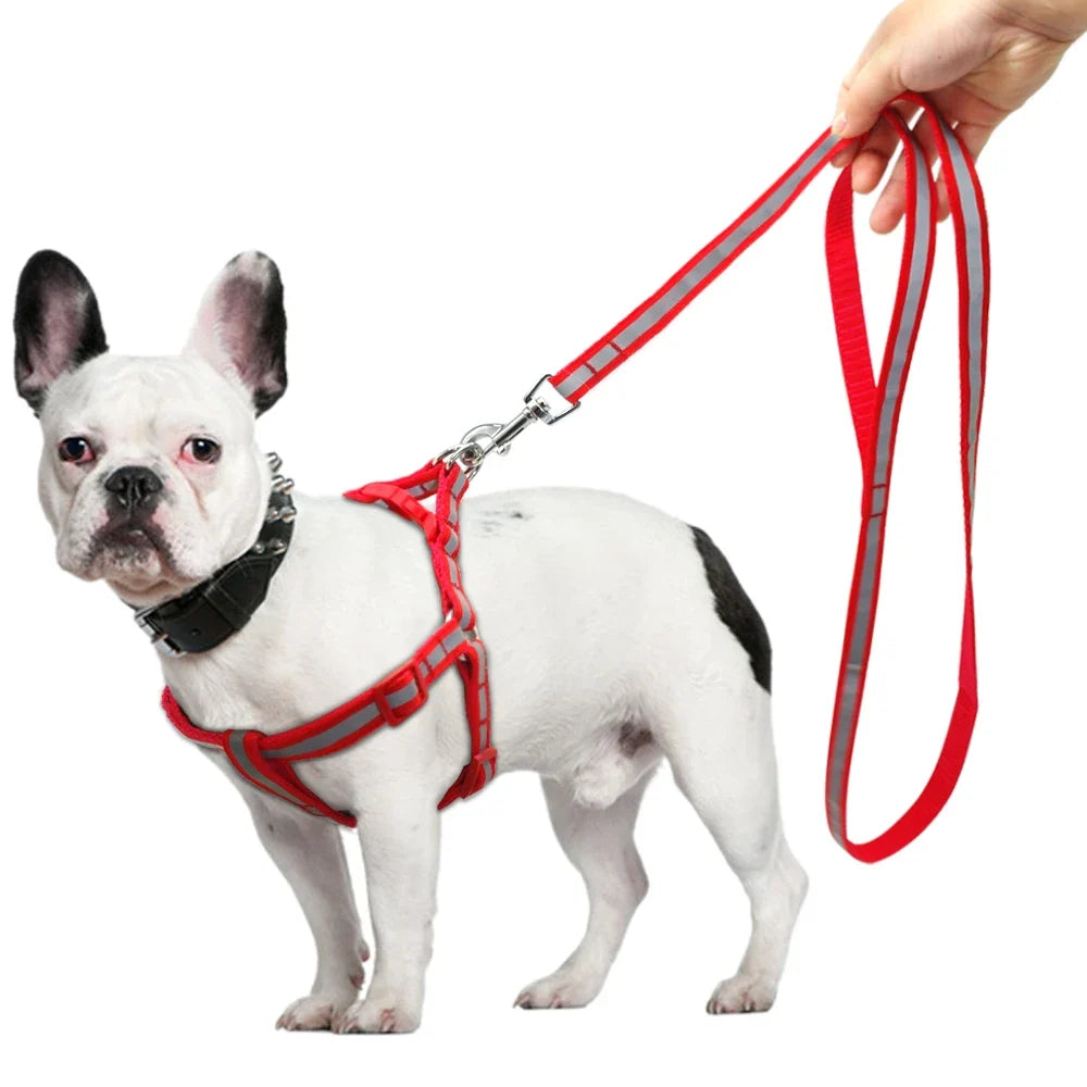 Reflective Nylon Dog Harness and Leash Set - MyPetDollar.com