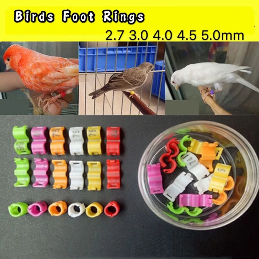 60 Pcs Inner 2.7/ 3/4/4.5/5mm Canary Clip - MyPetDollar.com