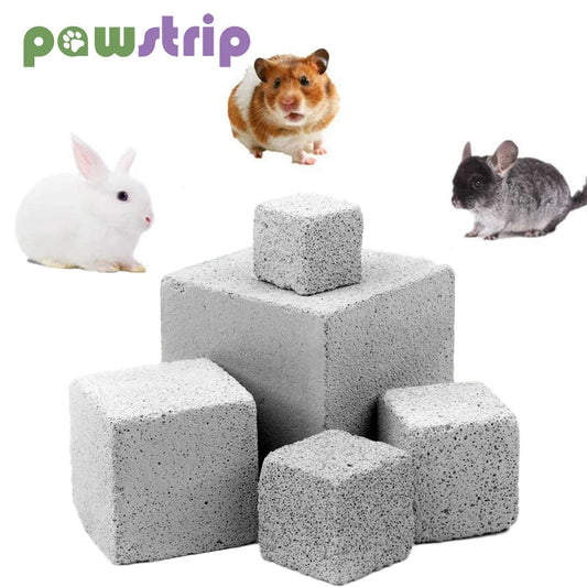 Natural Mineral Teeth Molar Stone Guinea Pig - MyPetDollar.com