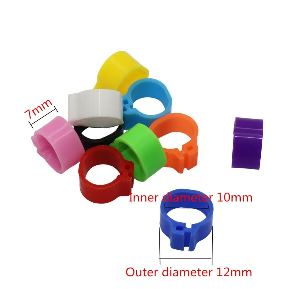 Multicolor Pigeons Rings 10mm Bayonet - MyPetDollar.com
