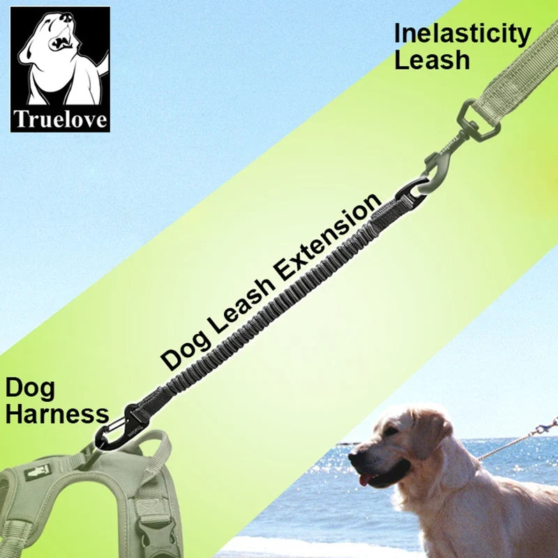 Truelove Short Bungee Dog Nylon Leash Rope - MyPetDollar.com