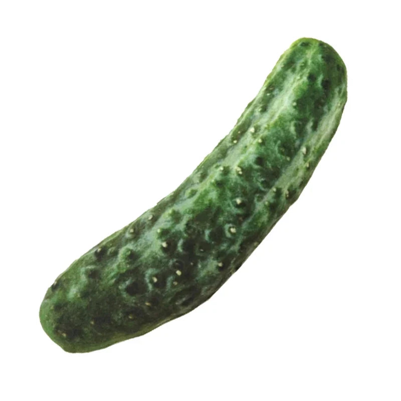 Funny Simulation Pet Dog Toys For Small Dogs - MyPetDollar.com