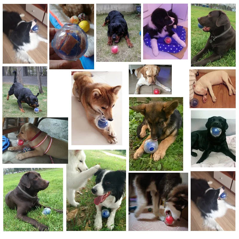 CAITEC Dog Toy Amazing Squeaker Ball Durable - MyPetDollar.com