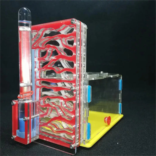 T design DIY with feeding area ant nest ,ant - MyPetDollar.com