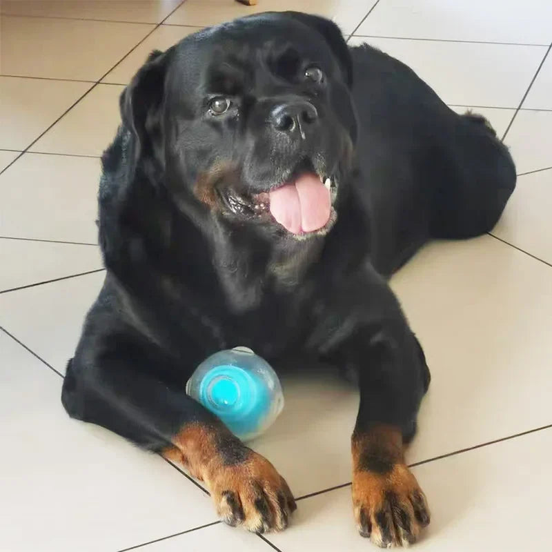 CAITEC Dog Toy Amazing Squeaker Ball Durable - MyPetDollar.com