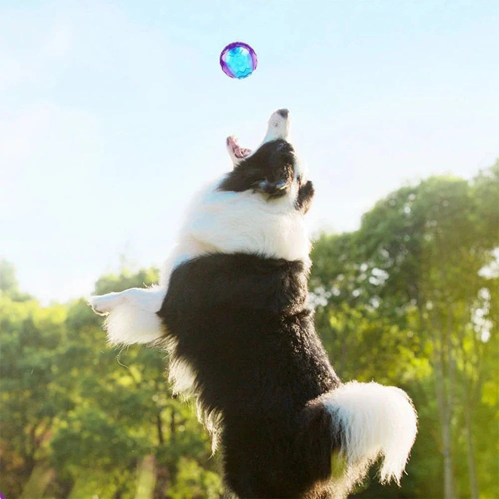 Pet Dog Squeaky Toys Ball Puppy Chew Toys - MyPetDollar.com