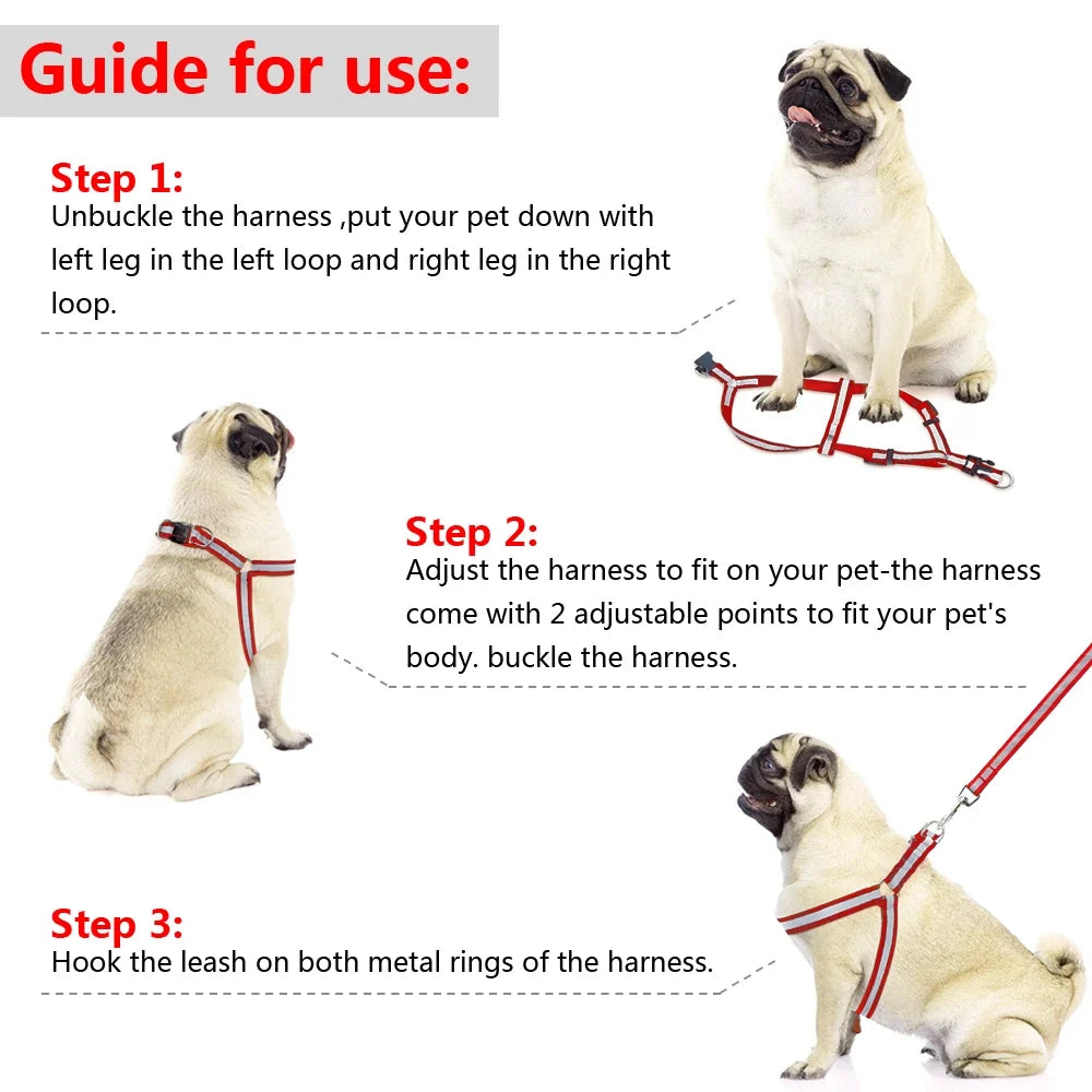 Reflective Nylon Dog Harness and Leash Set - MyPetDollar.com