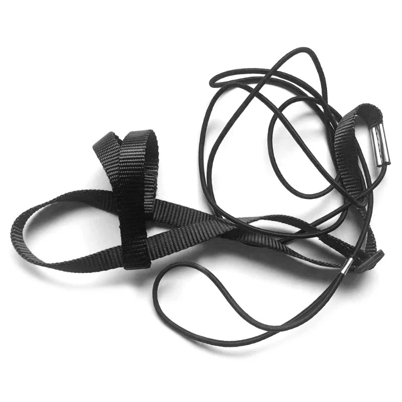 Parrot Bird Harness Leash Outdoor Flying - MyPetDollar.com