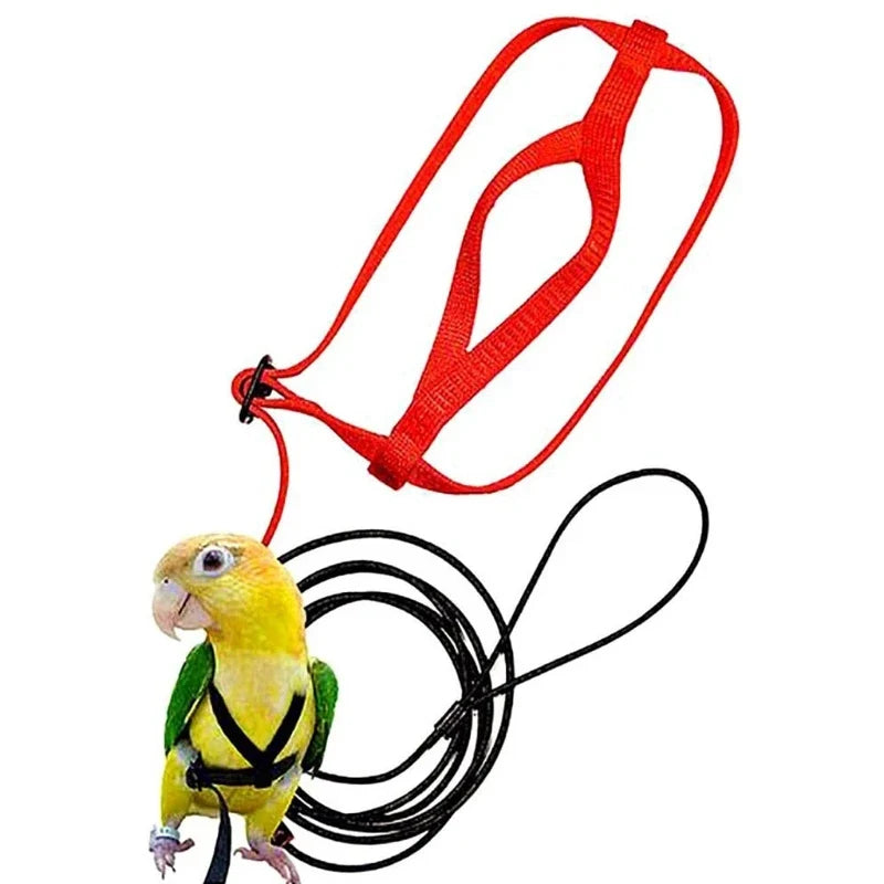 Parrot Bird Harness Leash Outdoor Flying - MyPetDollar.com
