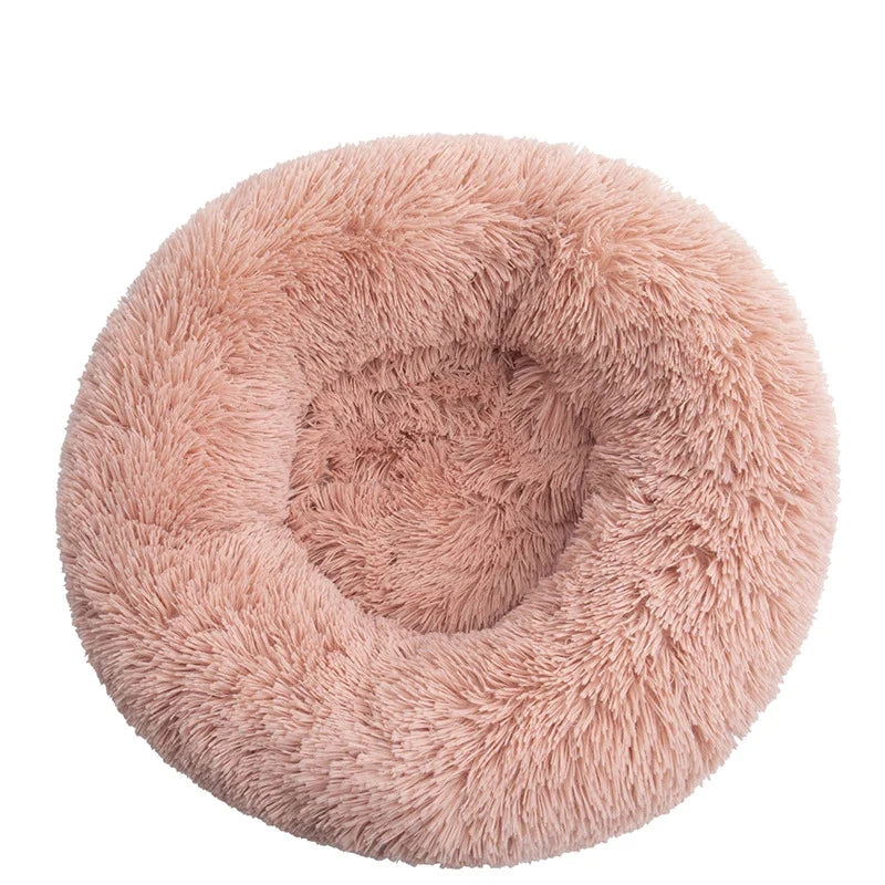 Donut Mand Dog Accessories for Large Dogs - MyPetDollar.com