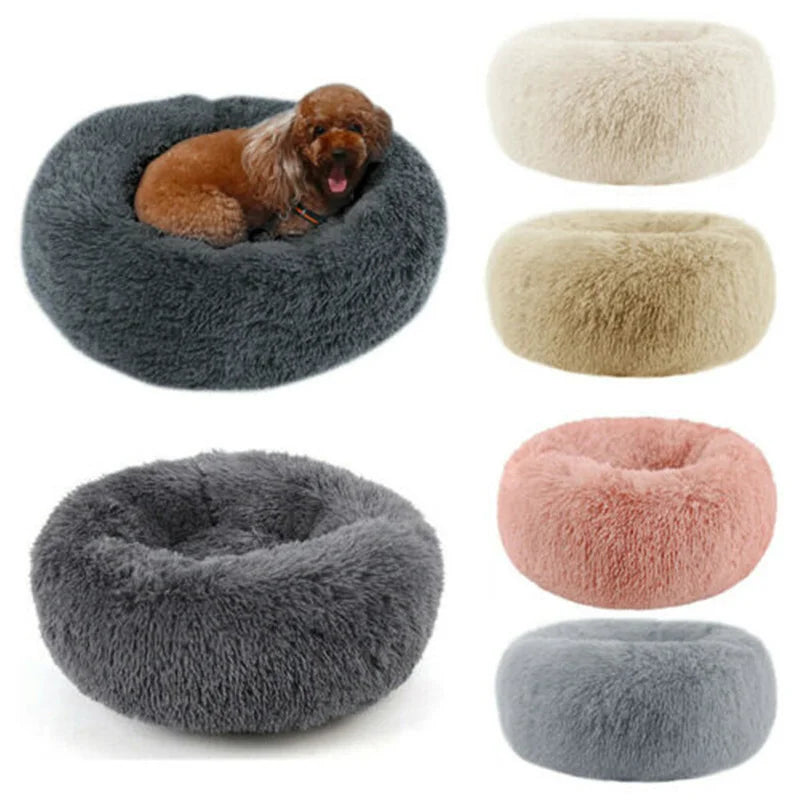 Donut Mand Dog Accessories for Large Dogs - MyPetDollar.com