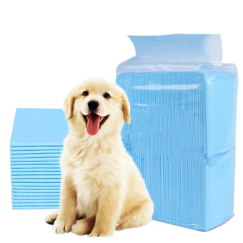 Winter Super Absorbent Pet Diaper Dog Training Pee Pads